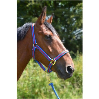 Gallop Cushion Comfort Headcollar