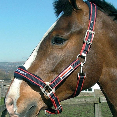 John Whitaker Waffle Airflow Headcollar Set